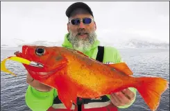  ??  ?? Dymchurch angler and guide Dave Wood-Brignall has broken the European record for red fish with this stunner from a Norwegian fiord on a lure