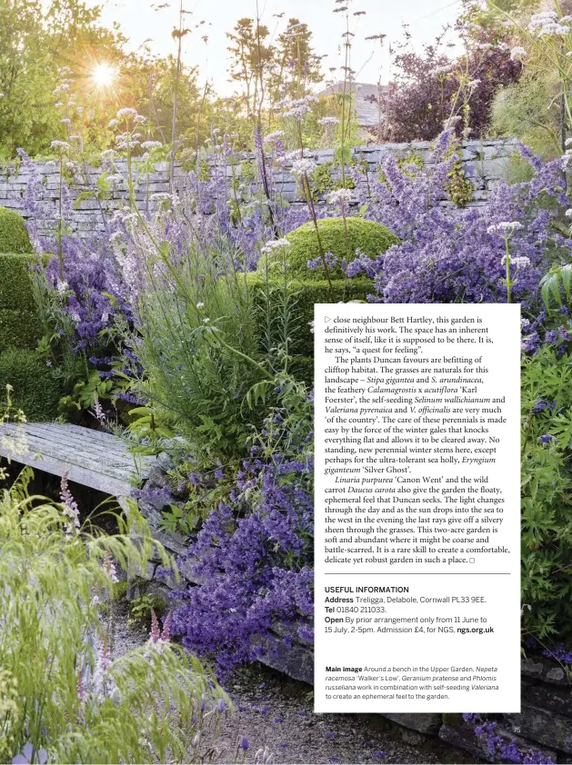  ??  ?? Main image Around a bench in the Upper Garden, Nepeta racemosa ‘ Walker’s Low’, Geranium pratense and Phlomis russeliana work in combinatio­n with self-seeding Valeriana to create an ephemeral feel to the garden. 75