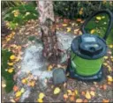  ?? THE ASSOCIATED PRESS ?? Wood stove ashes spread lightly around a newly planted tree to raise soil pH acidity. Plants that thrive with a dressing of nutrient-rich wood ashes include garlic, chives, leeks, lettuces, asparagus and stone fruit trees.