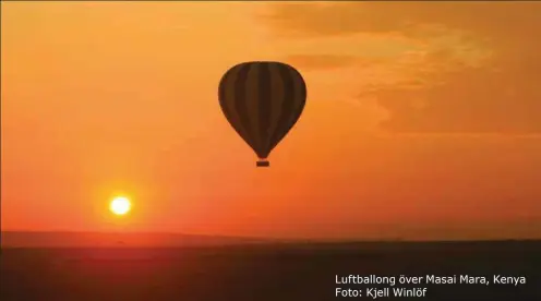  ?? Foto: Kjell Winlöf ?? Luftballon­g över Masai Mara, Kenya