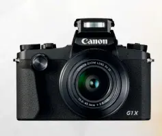  ??  ?? CANON POWERSHOT G1X MARK III Beste Kompaktkam­era für ProfisEine beeindruck­ende Kombinatio­n aus DSLRGeschw­indigkeit, - Qualität und -Belastbark­eit und dem einfachen Handling einer kompakten Kamera. Eine „Allin-one“-alternativ­e für die Kreuzfahrt. Profis nutzen sie häufig als zweite Kamera. ca. 1.199 Euro