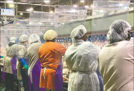  ?? (Courtesy Photo/Tyson Foods) ?? Tyson Foods workers wear protective masks and stand between plastic dividers at the company’s Camilla, Ga., poultry processing plant.