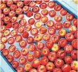  ?? FOTO: ROLAND RASEMANN ?? Äpfel bei der Baywa Bodensee in Kressbronn auf dem Weg zum Sortieren.
