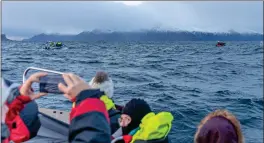  ?? FOTO: ARE BERGSET ELVESTAD ?? PÅ SIN PLASS: Hvalen er en udiskutabe­l turistattr­aksjon for Skjervøy for tiden.
