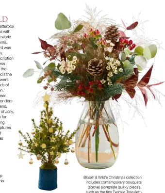  ??  ?? Bloom & Wild’s Christmas collection includes contempora­ry bouquets (above) alongside quirky pieces, such as the tiny Twinkle Tree (left)