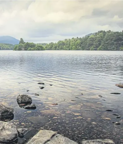  ?? ?? The freshwater Loch an Eilein in the Cairngorms National Park looks good for liquidity. However, abundance isn’t the main issue in Scotland, as Prof John Rowan, pictured inset, will tell delegates today at a special summit meeting in Dundee