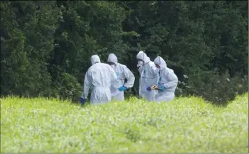  ??  ?? Forensics examine a site near Kilmuckrid­ge last Wednesday.