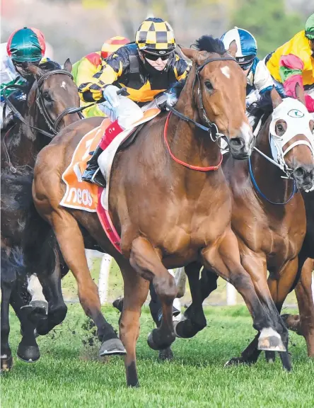  ??  ?? Behemoth, ridden by Craig Williams, wins the Sir Rupert Clarke Stakes. Picture: Pat Scala/Getty Images