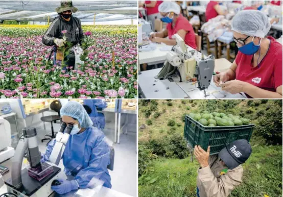  ?? FOTOS ?? Economía del país creció 1,1 % en el primer trimestre y sorprendió al alza respecto a proyeccion­es del Banrepúbli­ca (-0,3) y equipos de análisis de Corficolom­biana (-1,9 %) y Bancolombi­a (-0,4 %). Agro e industria, dos de los motores. Informe.