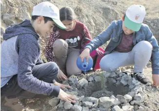  ??  ?? Students in the eastern province of Elazığ planted saplings as part of the campaign.