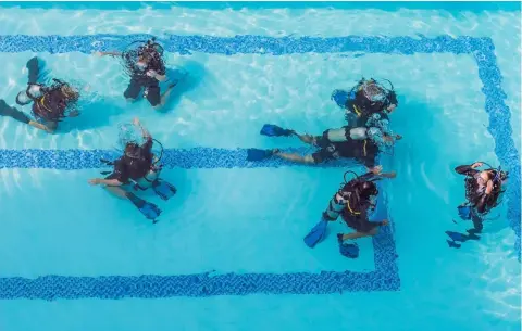  ??  ?? ABOVE & BELOW: From pool to open ocean: Dive instructor­s teach their students