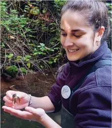  ?? ?? White-clawed crayfish being released back into rivers