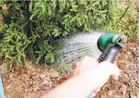  ?? BALTIMORE SUN ?? Water breaker nozzles on a hose create a gentler rain like effect, which avoids eroding soil and soaks more effectivel­y.