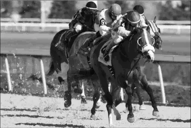  ?? MICHAEL BURNS ?? Passion for Action won the 2016 Jacques Cartier Stakes and returns Saturday to defend his title.