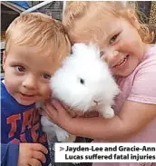  ?? ?? Jayden-Lee and Gracie-Ann Lucas suffered fatal injuries