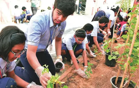  ?? Clint Egbert/Gulf News ?? Children plant saplings around the Indian High School during an event organised to celebrate the 150th birth anniversar­y of Mahatma Gandhi and the Year of Zayed yesterday. Gandhi Jayanti (Gandhi’s birthday) is a national festival in India.