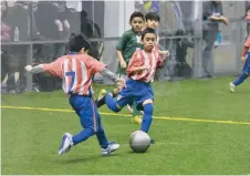  ?? JAVIER QUIROZ, LA RAZA ?? Los niños tienen otra opción para jugar en Chicago con la nueva Liga Latino-Premier.