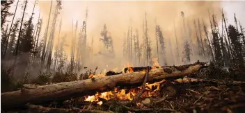  ?? DARRYL DYCK/THE CANADIAN PRESS/FILES ?? Breathing in smoke from a wildfire means inhaling mercury, carbon dioxide, carbon monoxide, methane and other particles, says a researcher studying wildfires in Western Canada.