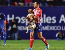  ?? MEXSPORT ?? Berterame saca a un perro que se metió a la cancha.