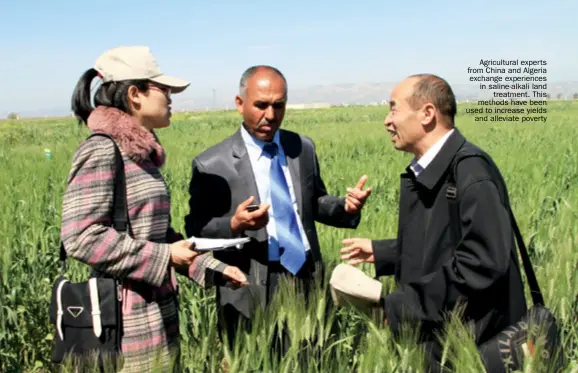  ??  ?? Agricultur­al experts from China and Algeria exchange experience­s in saline-alkali land treatment. This methods have been used to increase yields and alleviate poverty