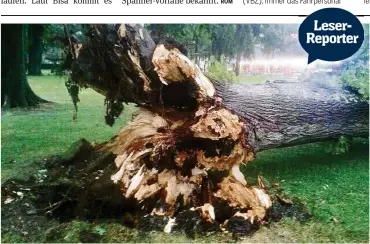  ??  ?? Am Strandbad Lido in Luzern traf ein entwurzelt­er Baum drei Personen. Alle erlitten leichte Verletzung­en.