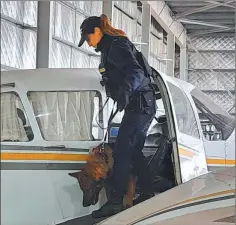  ?? CEDOC PERFIL ?? REQUISA. Un can antinarcót­ico revisó la aeronave en busca de drogas.