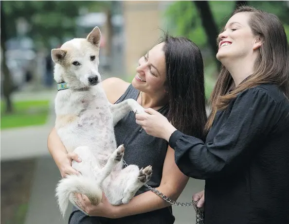  ?? MARK VAN MANEN/PNG ?? Sophie Anderson and Erin Berry with their adopted dog Bones, who was rescued last year in Thailand.