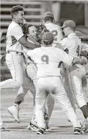  ?? Wilf Thorne ?? The Travis Tigers celebrate their 15-3 playoff win over the North Shore Mustangs on Friday night at Rice University’s Reckling Park.