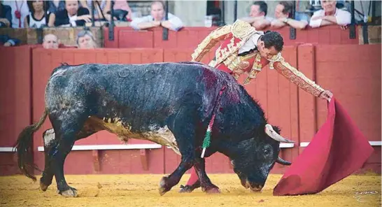  ??  ?? Los silencios de Sevilla son jueces y avales al mismo tiempo, son la paciencia de saber esperar a que las cosas pasen cuando tengan que pasar, la paciencia para que el toro vaya desarrolla­ndo sus virtudes durante la lidia, la paciencia de esperar al...