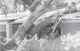  ?? RICARDO RAMIREZ BUXEDA/ORLANDO SENTINEL Sept. ?? A home in Apopka suffered damage after a tree that fell on it during Hurricane Irma, on 20, 2017.