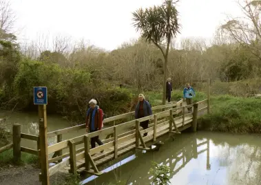  ?? ?? Above left: Walking through tall trees Photo FQG
Below left: A group crosssing one of the bridges. Photo FQG