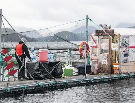  ?? DARREN STONE ?? A fish farm technician works near occupying protesters’ shed at the Marine Harvest fish farm near Midsummer Island earlier this month.