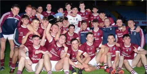  ??  ?? St. Martin’s captain Joe Coleman and his colleagues celebratin­g their victory over Glynn-Barntown in Tuesday’s county final.