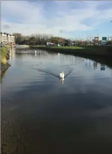  ??  ?? Time gently floats by on the Tralee Ship Canal.