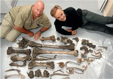  ?? PHOTO: FAIRFAX NZ ?? David Sutton, design and project manager of Alpine Energy, and Philip Howe, of the South Canterbury Museum, with the collection of moa bones that were discovered while drilling power pole holes near Waimate.