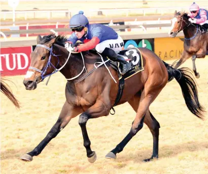  ?? Picture: JC Photograph­ics ?? TESTING TIME. Saints Alive is one of the key runners in Race 4, an Assessment Plate over 1600m at the Vaal Classic course tomorrow and she could prove to be the one to beat.