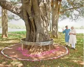  ?? PTI ?? Prime Minister Narendra Modi at the popular great banyan tree at Aurobindo Ashram in Puducherry on Sunday. —
