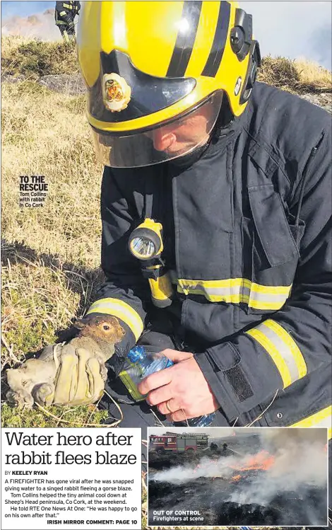  ??  ?? TO THE RESCUE Tom Collins with rabbit in Co Cork OUT OF CONTROL Firefighte­rs at scene