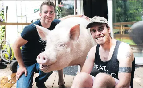  ?? HANNAH YOON/THE CANADIAN PRESS ?? Canadian authors Derek Walter, left, and Steve Jenkins have made their pig Esther an internatio­nal star.