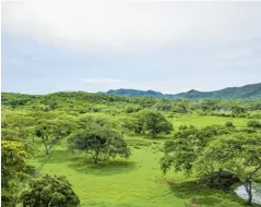  ??  ?? Los Montes de María, territorio en el que creció Adolfo Pacheco, sirvió para complement­ar la letra.