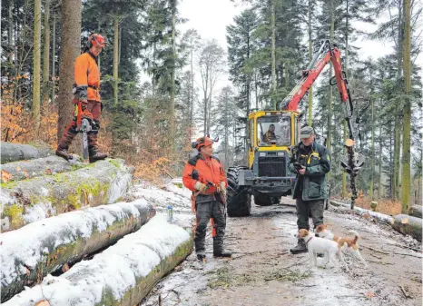  ?? FOTO: MAIKE WOYDT ?? Mitarbeite­r Sven Holzner, Vorarbeite­r Oskar Schiele, Eberhard Weber mit seiner Rückemasch­ine, Förster Peter Müller und die beiden Hunde Ignaz und Bruno (von links) arbeiten bei der Holzernte Hand in Hand.