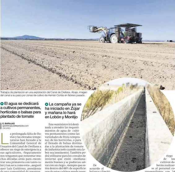  ?? SAMUEL SÁNCHEZ ?? Trabajos de plantación en una explotació­n del Canal de Orellana. Abajo, imagen del canal a su paso por zonas de cultivo de Hernán Cortés en febrero pasado.