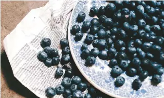 ?? ?? 最新研究顯示，認知能力開始退化的年­長者每天吃藍莓，有助恢復腦部健康。 （取材自pexels）