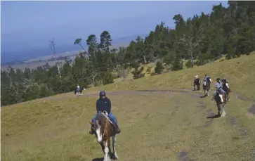  ??  ?? FAR LEFT: Located along California’s Central Coast, Cambria is full of great views, especially on horseback.
LEFT: Enjoy wide-open spaces on a thundering giant for a change of pace.