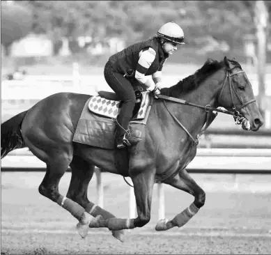  ?? BARBARA D. LIVINGSTON ?? West Coast, who departs for Gulfstream on Jan. 24, trains at Santa Anita in late December.