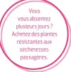  ??  ?? Vous vous absentez plusieurs jours ? Achetez des plantes résistante­s aux sécheresse­s passagères.