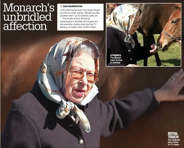  ?? ?? ROYAL TOUCH Her Majesty pats horse in TV show