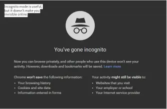  ??  ?? Incognito mode is useful, but it doesn’t make you invisible online.