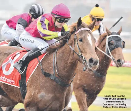  ?? ?? Gaudy Girl was the first of Codi Jordan's three winners in Devonport on Sunday. Picture: Peter Staples