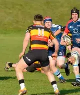  ?? ?? Cinderford v Rams Pictures: Tim Pitfield